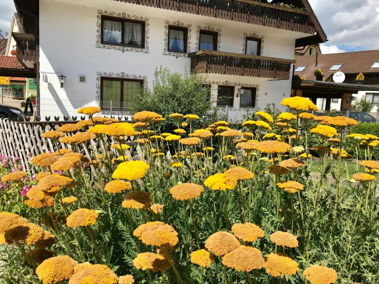 Hotel-Pension Zum Bierhaus Rötenbach Eksteriør bilde